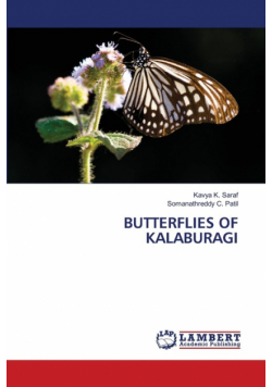 Butterflies Of Kalaburagi