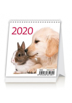 Kalendarz 2020 Biurkowy Mini Przyjaciele HELMA