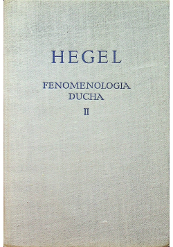 Fenomenologia ducha 2