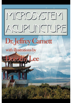 Microsystem Acupuncture