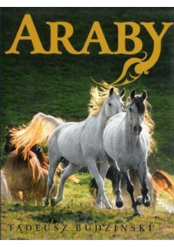 Araby Dzieci Wiatru
