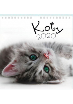 Kalendarz 2020 planszowy 32x32 Koty