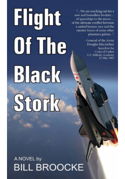 Flight of the Black Stork