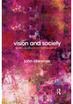 Vision and Society
