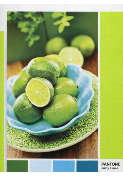 Puzzle 1000 Pantone Lime Punch