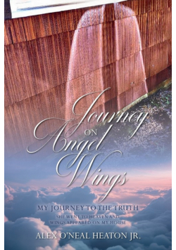 Journey on Angel Wings