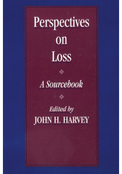 Perspectives On Loss
