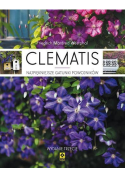 Clematis Wyd. III