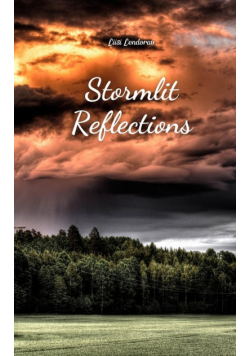 Stormlit Reflections