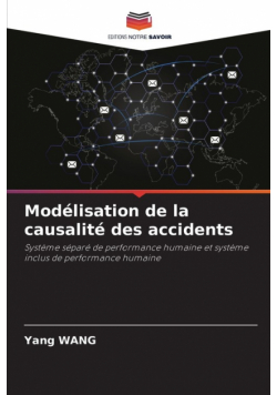 Modélisation de la causalité des accidents