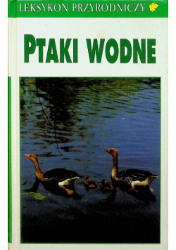 Ptaki wodne