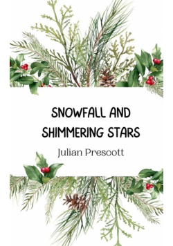 Snowfall and Shimmering Stars