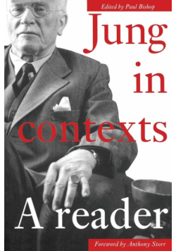 Jung in Contexts