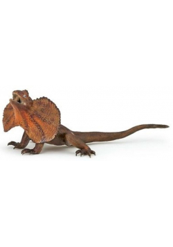 Agama kołnierzasta