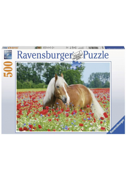 Puzzle 500 Koń w łące maków