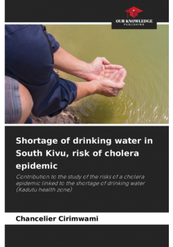 Shortage of drinking water in South Kivu, risk of cholera epidemic
