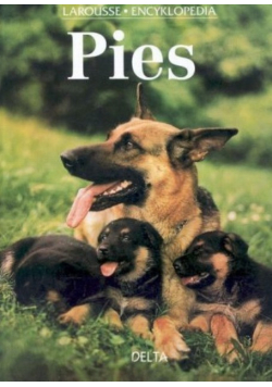 Pies