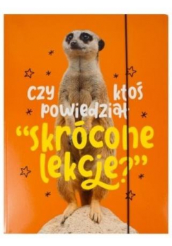 Teczka A4 z gumką AleJakTo-04
