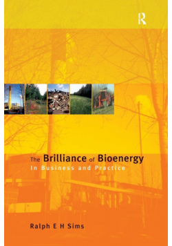 The Brilliance of Bioenergy