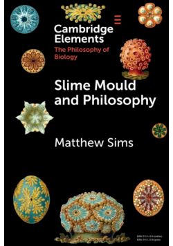 Slime Mould and Philosophy