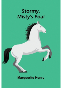 Stormy, Misty's Foal