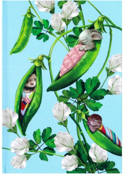 Notes Gee Pea Pods linia NARCISSUS