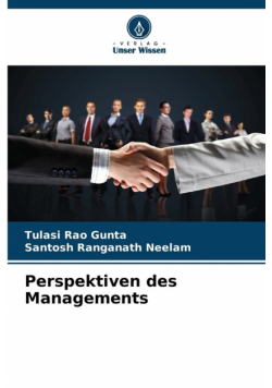 Perspektiven des Managements