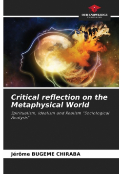 Critical reflection on the Metaphysical World