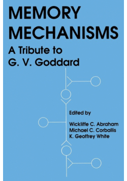 Memory Mechanisms