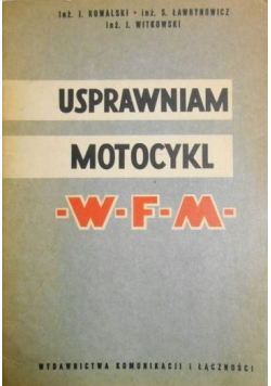 Usprawniam motocykl WFM