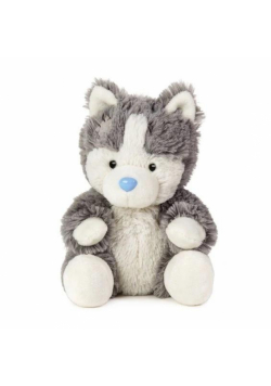 Przyjaciel niebieskiego noska - Piesek Husky North