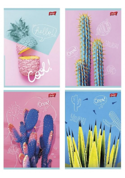 Zeszyt A5/60K kratka Cacti (10szt)