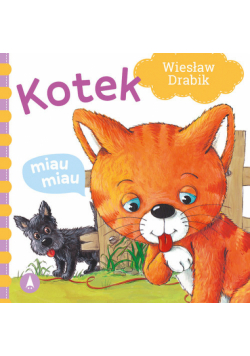 Kotek miau miau