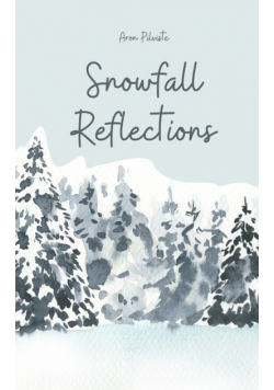 Snowfall Reflections