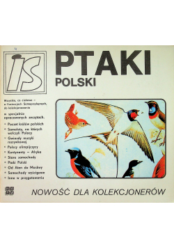 Ptaki Polski