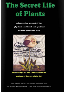 The secret life of plants