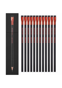 Zestaw 12 miękkich ołówków Blackwing x Moleskine