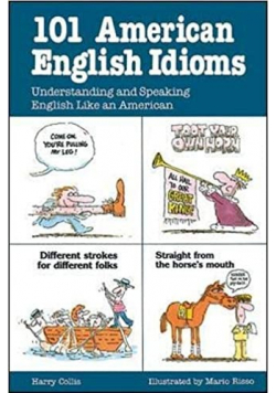 101 American English idioms