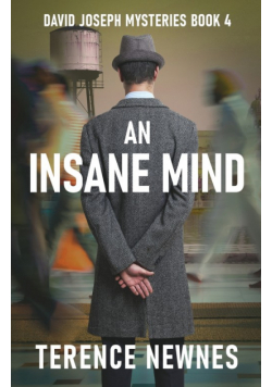 An Insane Mind