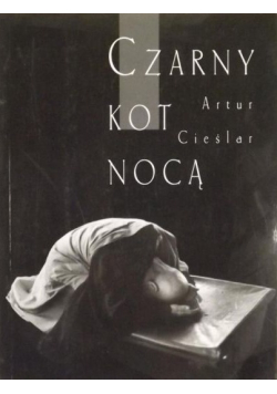 Czarny kot nocą
