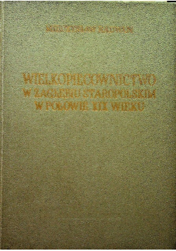 Wielkopiecownictwo w Zagłębiu Staropolskim