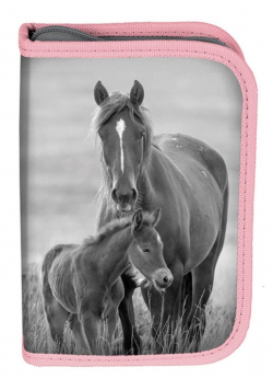Piórnik z wyposażeniem Horses PP20KO-001 PASO