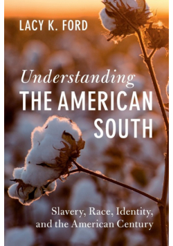 Understanding the American South