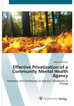 Effective Privatization  of a Community Mental Health Agency