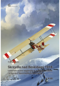 Skrzydła nad Beskidami 1914
