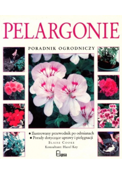 Pelargonie poradnik ogrodniczy