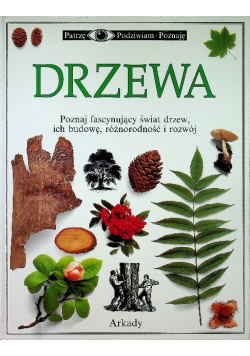 Drzewa