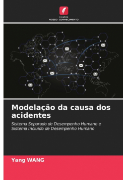 Modelação da causa dos acidentes