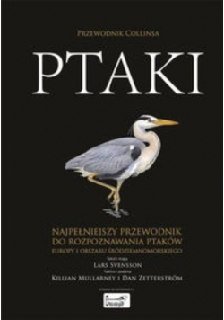 Ptaki