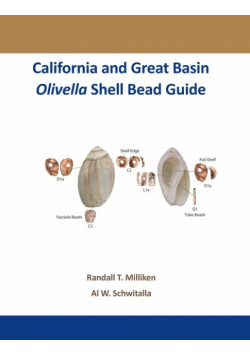 California and Great Basin Olivella Shell Bead Guide